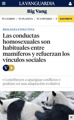 Qué_bueno2_Prueba_de_inteligencia.jpg