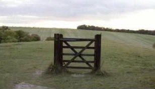 PuertasALCampo.jpg