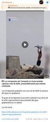 8YLosAnimalistas8.jpg