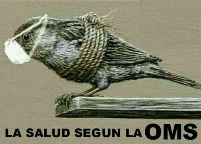 La_salud_según_OMS.jpg