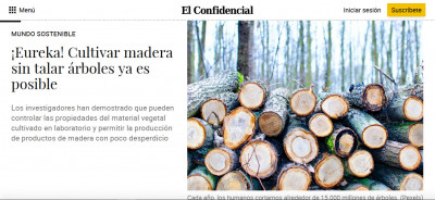 Madera_Producción.jpg