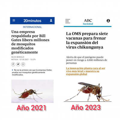 Mosquito_va_problema_viene.jpg