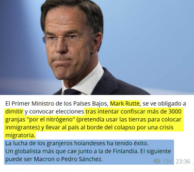 MarkRutte_dimisión.jpg